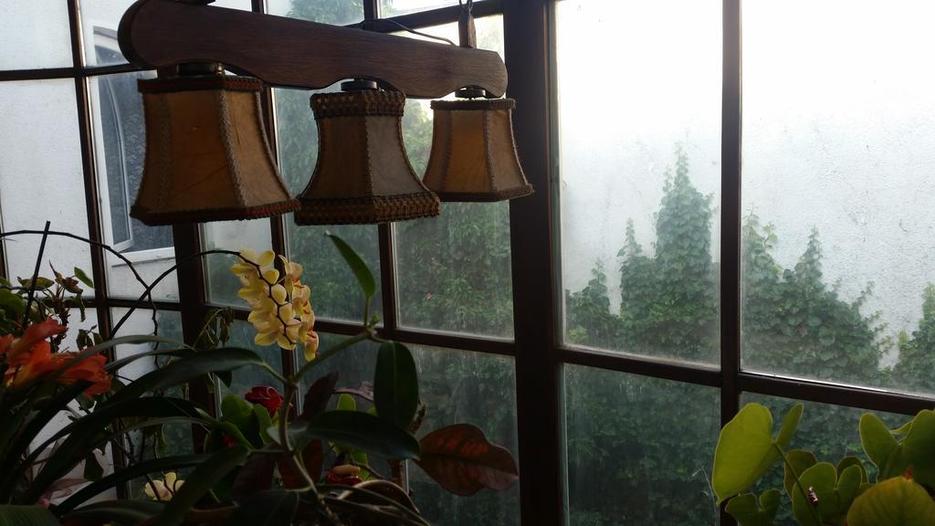 Vila Monica Bed & Breakfast Târgu-Mureş Dış mekan fotoğraf