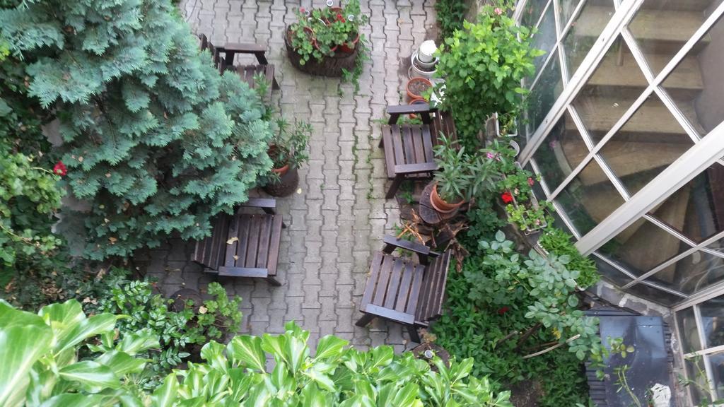 Vila Monica Bed & Breakfast Târgu-Mureş Dış mekan fotoğraf