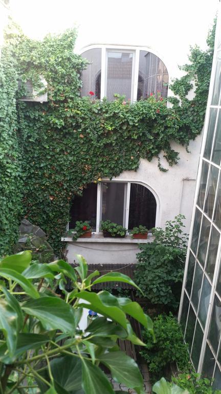 Vila Monica Bed & Breakfast Târgu-Mureş Dış mekan fotoğraf