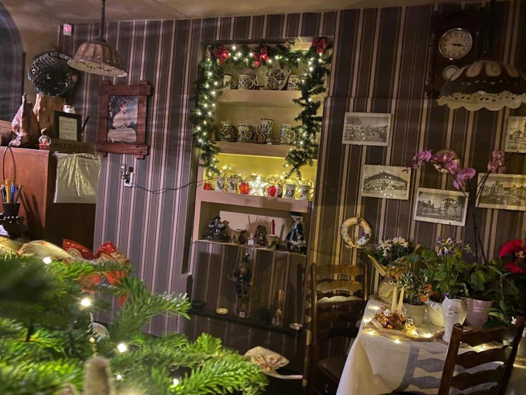 Vila Monica Bed & Breakfast Târgu-Mureş Dış mekan fotoğraf