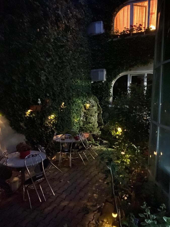 Vila Monica Bed & Breakfast Târgu-Mureş Dış mekan fotoğraf