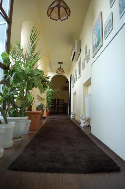 Vila Monica Bed & Breakfast Târgu-Mureş Dış mekan fotoğraf