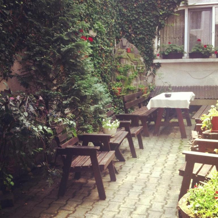 Vila Monica Bed & Breakfast Târgu-Mureş Dış mekan fotoğraf