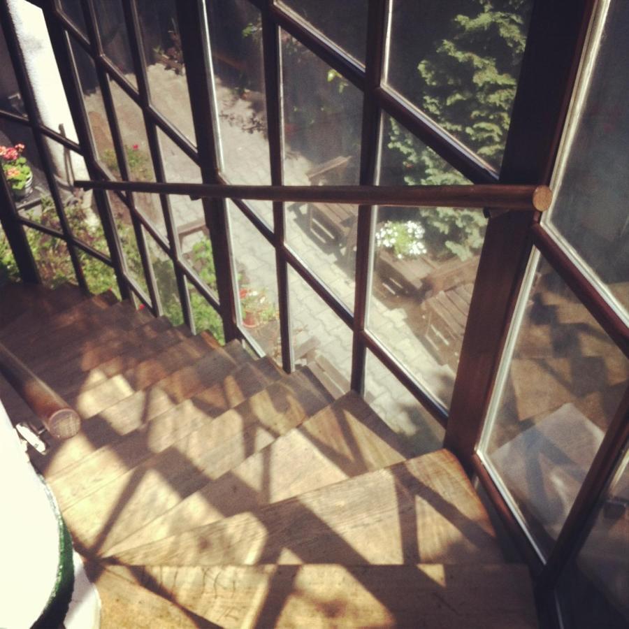 Vila Monica Bed & Breakfast Târgu-Mureş Dış mekan fotoğraf